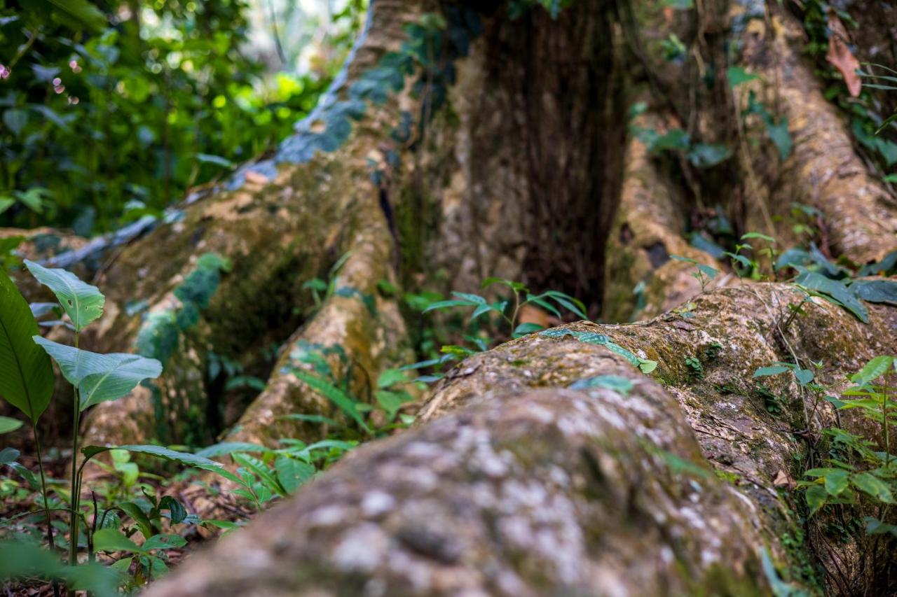 Namuwoki Lodge photo
