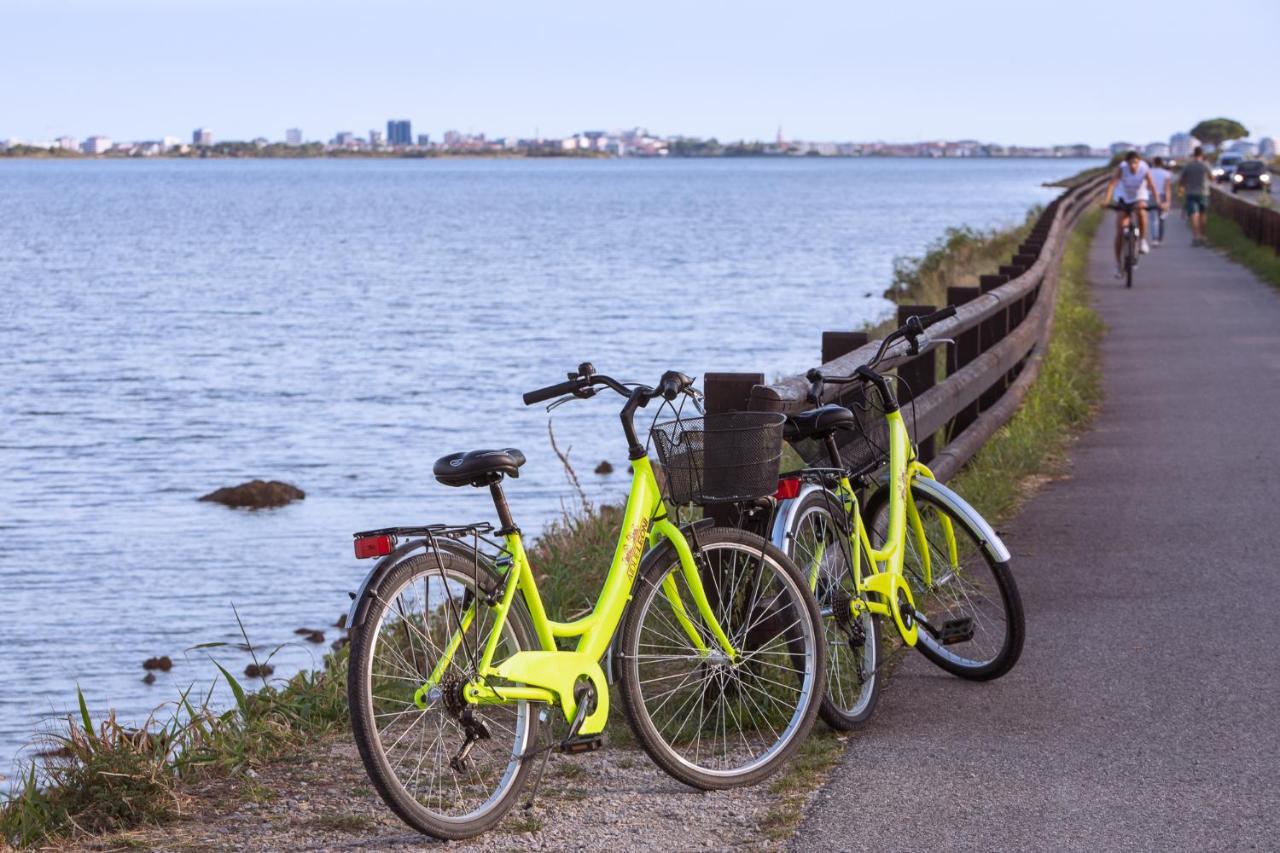 Agriturismo ai Due Leoni - 2