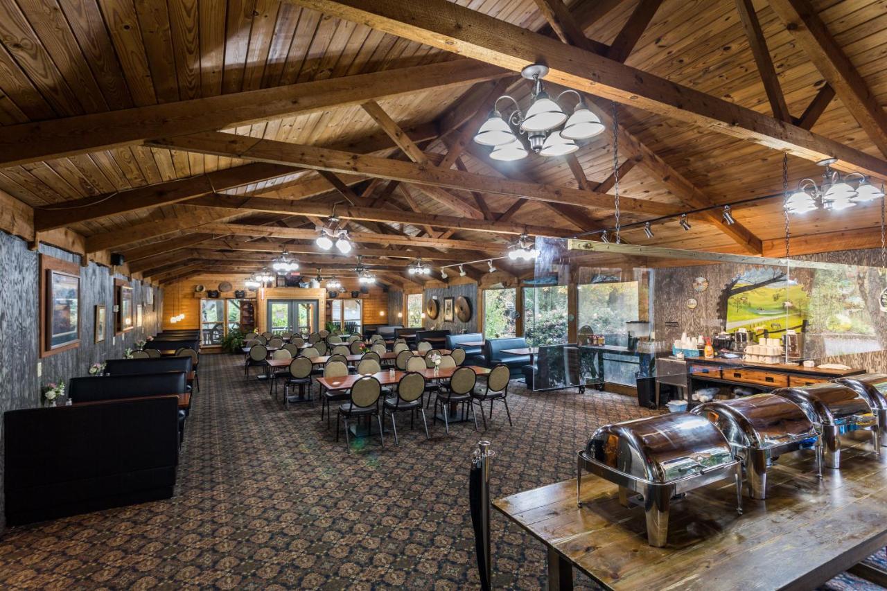 Forrest Hills Mountain Resort — photo 3