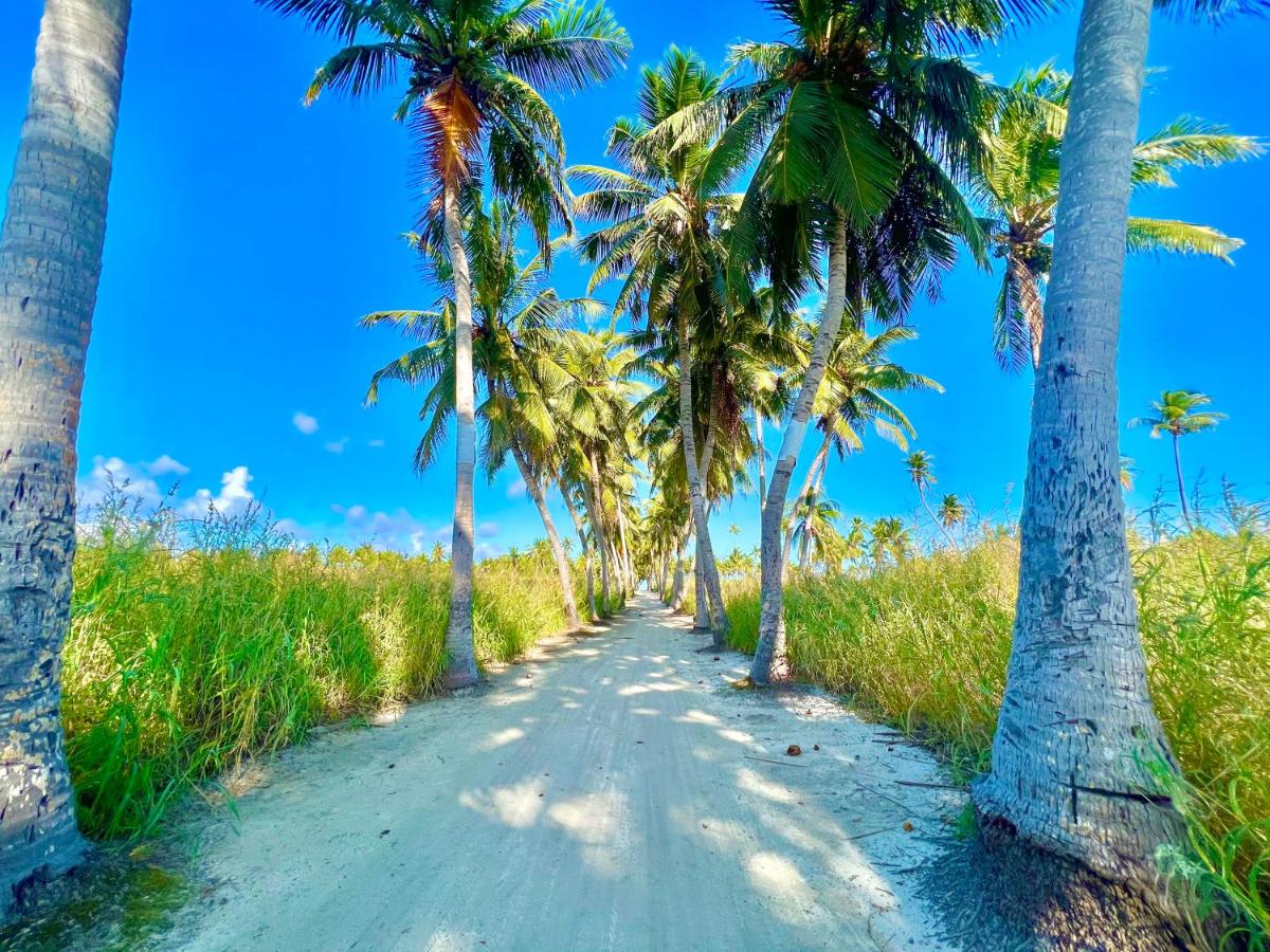 Manta Stay Thoddoo, Maldives - 2