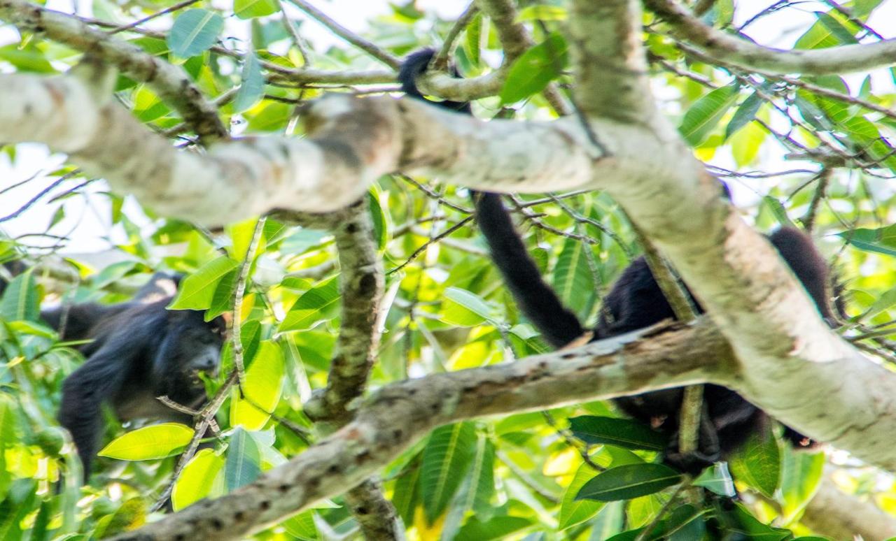 Spa hotel: Dream Valley Belize