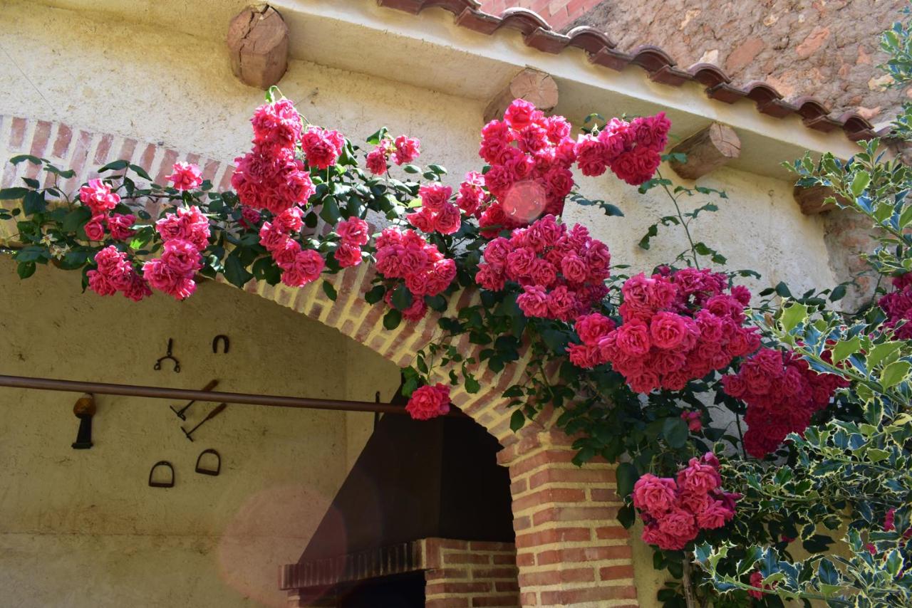 La Casa del Azafrán, Villanueva del Rebollar de la Sierra ...