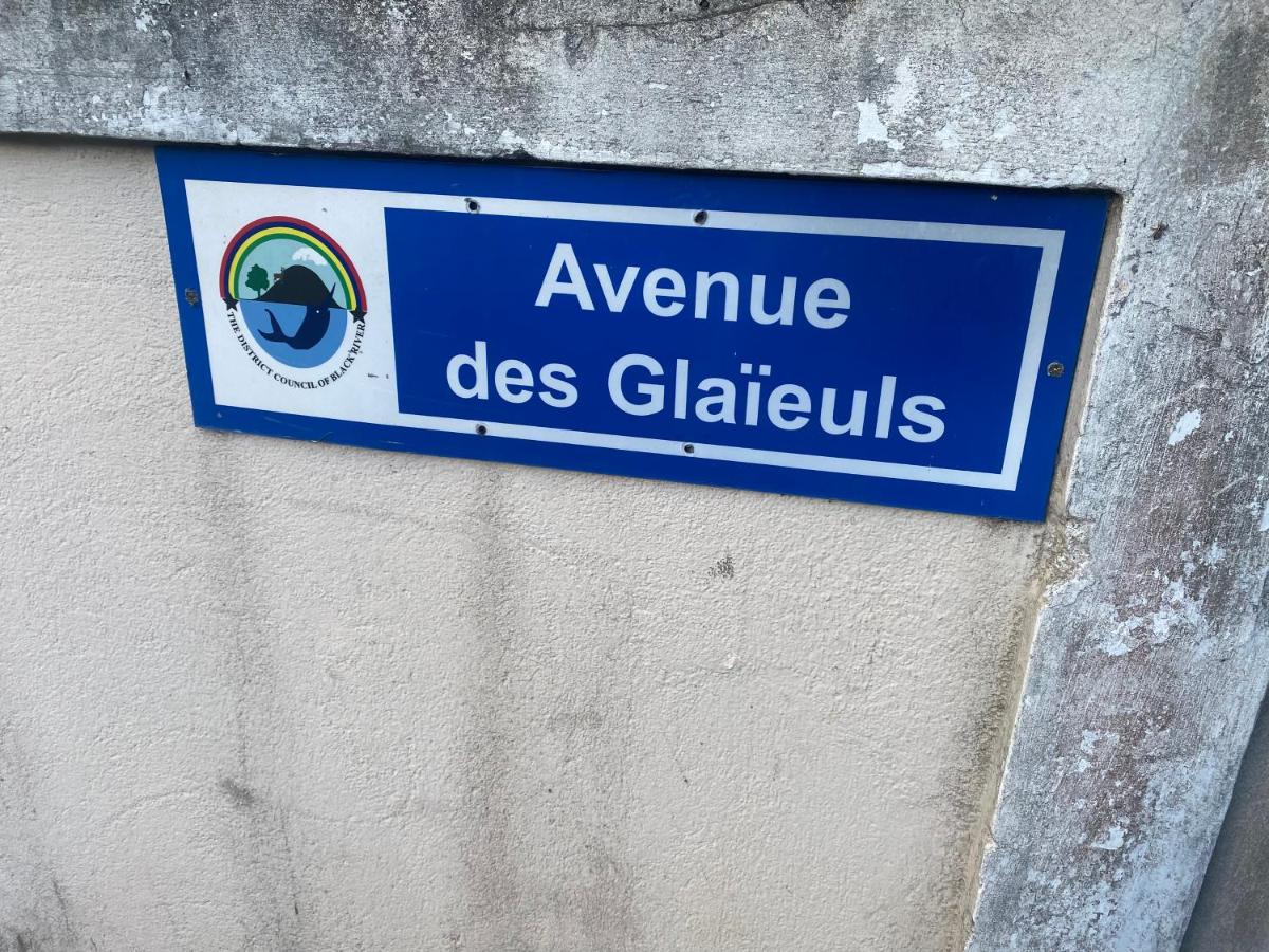 Viksh Seaview Apartment - 4