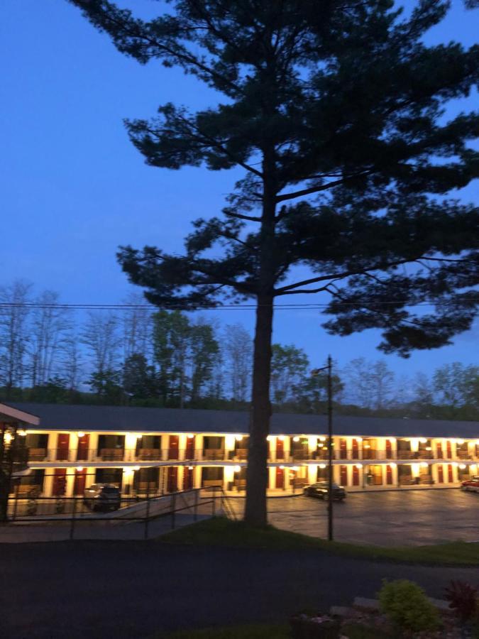 Amber's Inn and Suites — photo 10