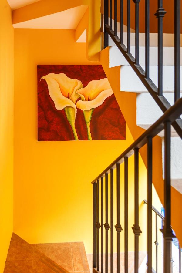 Kaam Accommodations photo