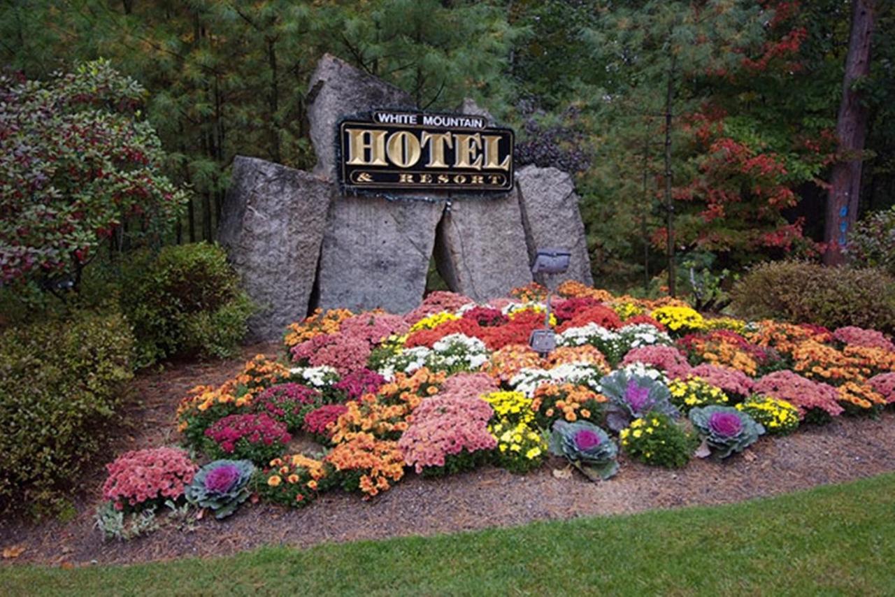 White Mountain Hotel and Resort — photo 18