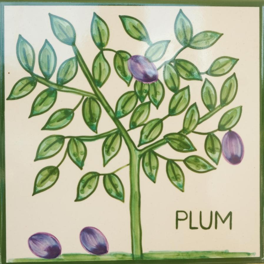 Casa Monte Cristo Apartments - Plum