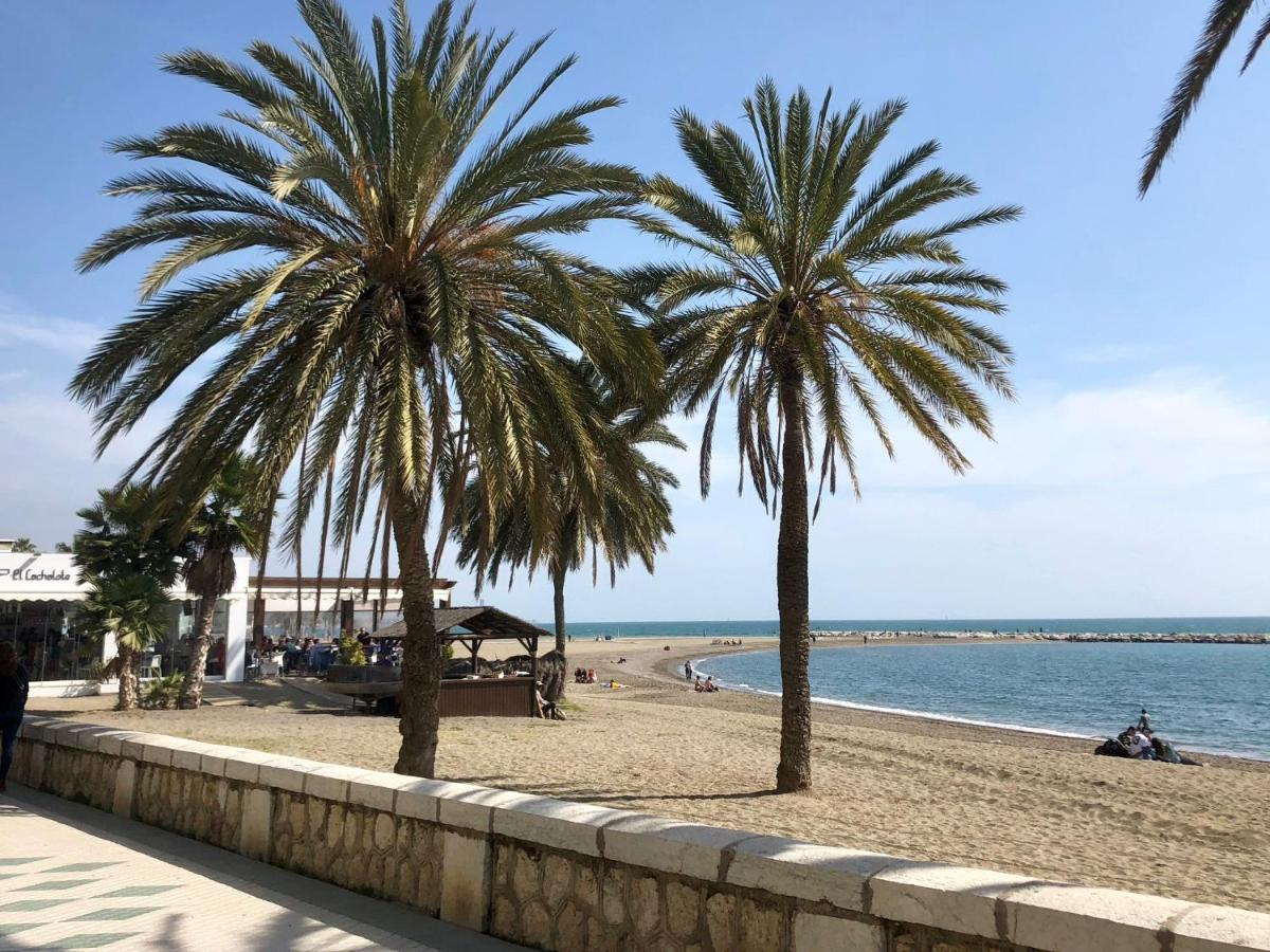 Ohana Beachfront Malagueta - 5