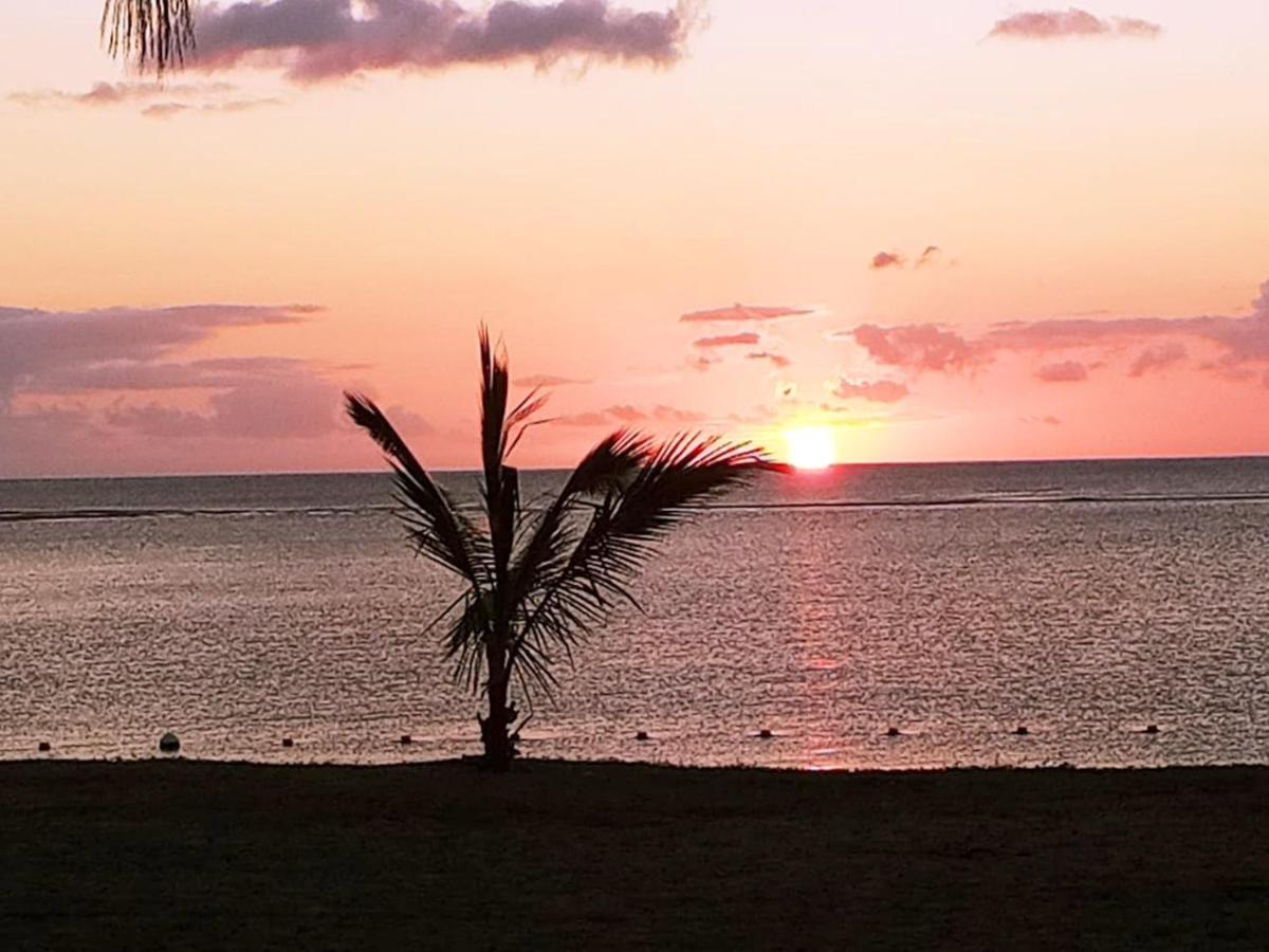 Enchanting Bungalow in Chemin Grenier with Jacuzzi and Garden - 4