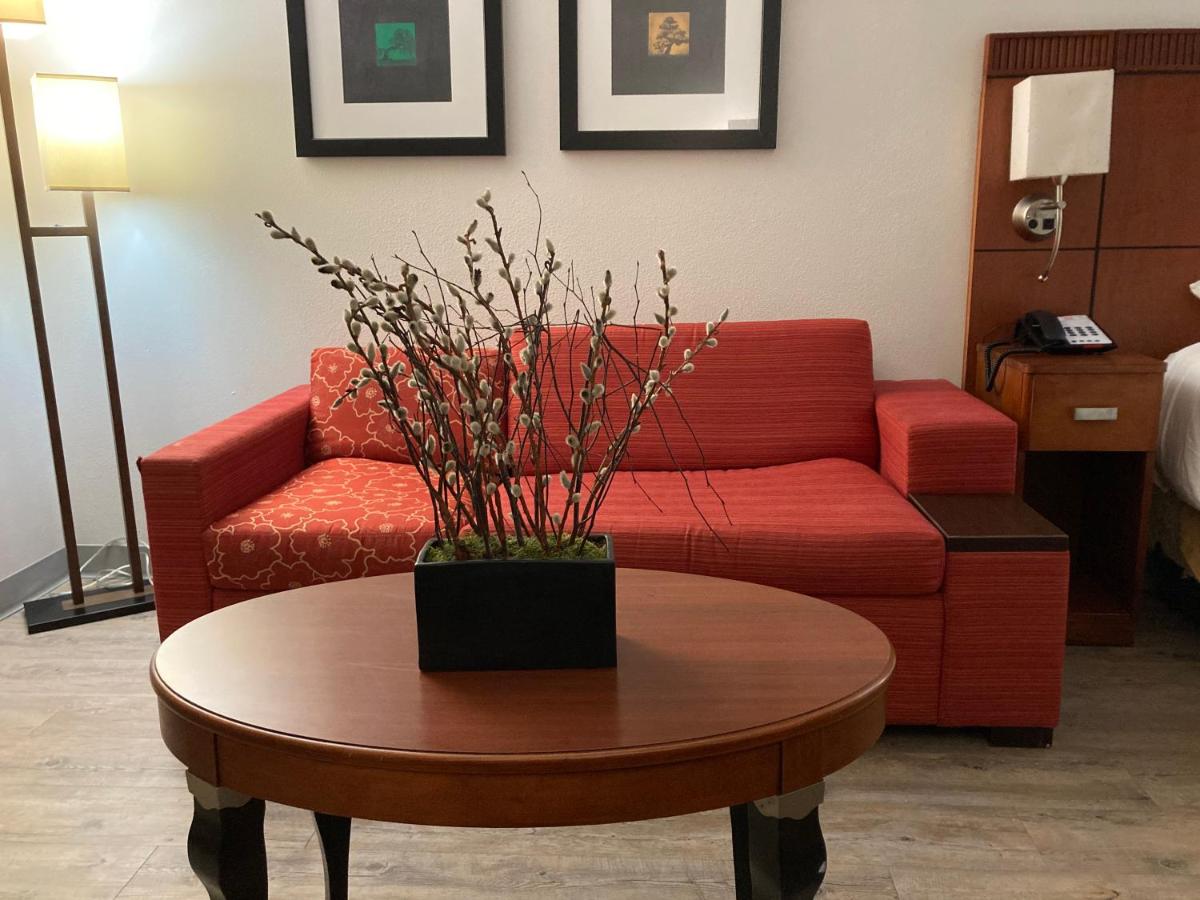 The Hotel Orange — photo 14
