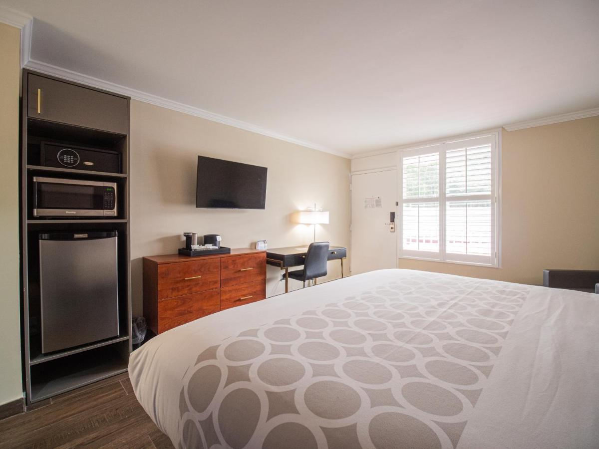 Equus Inn I75 — photo 10