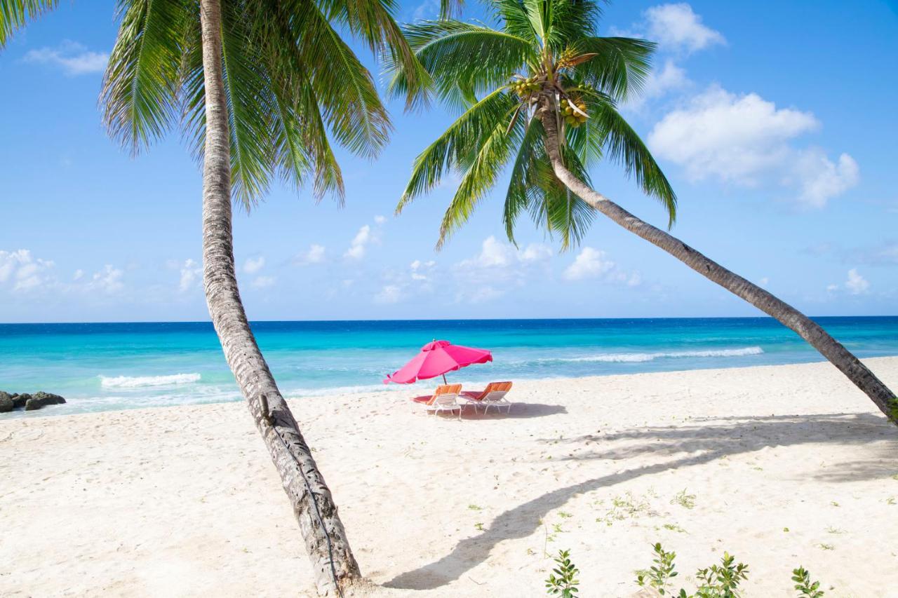 O2 Beach Club & Spa All Inclusive by Ocean Hotels photo