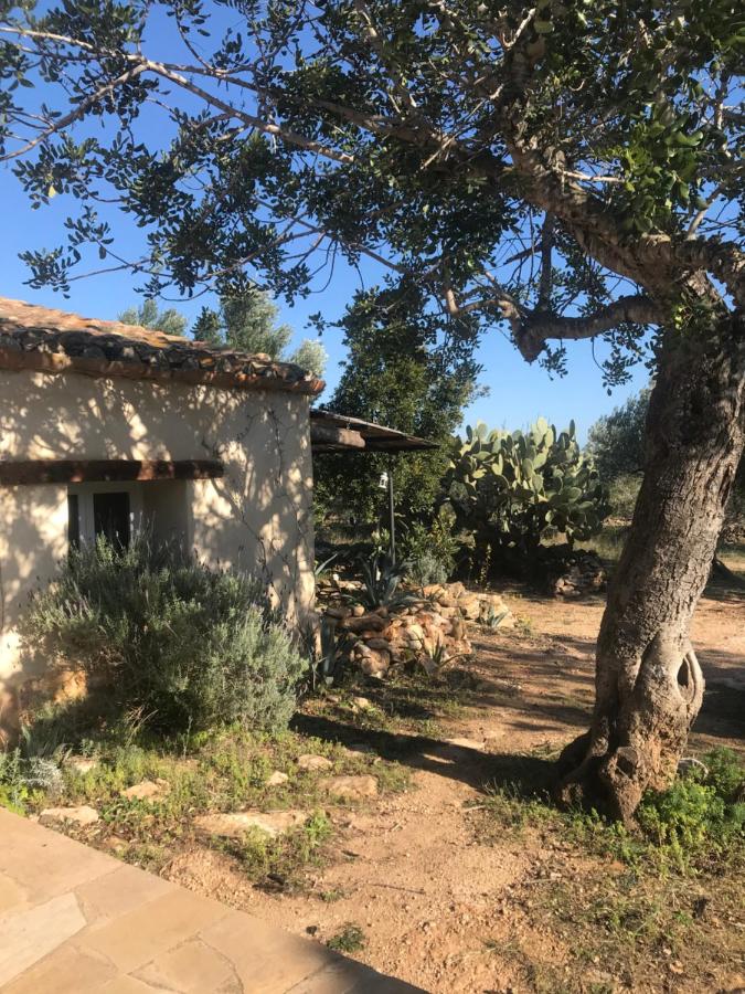 Villa Casa en olivera a 3 km de la costa (Spanje LAmetlla de ...