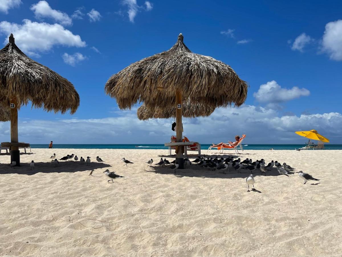 Beach: Luxury Ocean view Condo @ Aruba’s Palm Beach