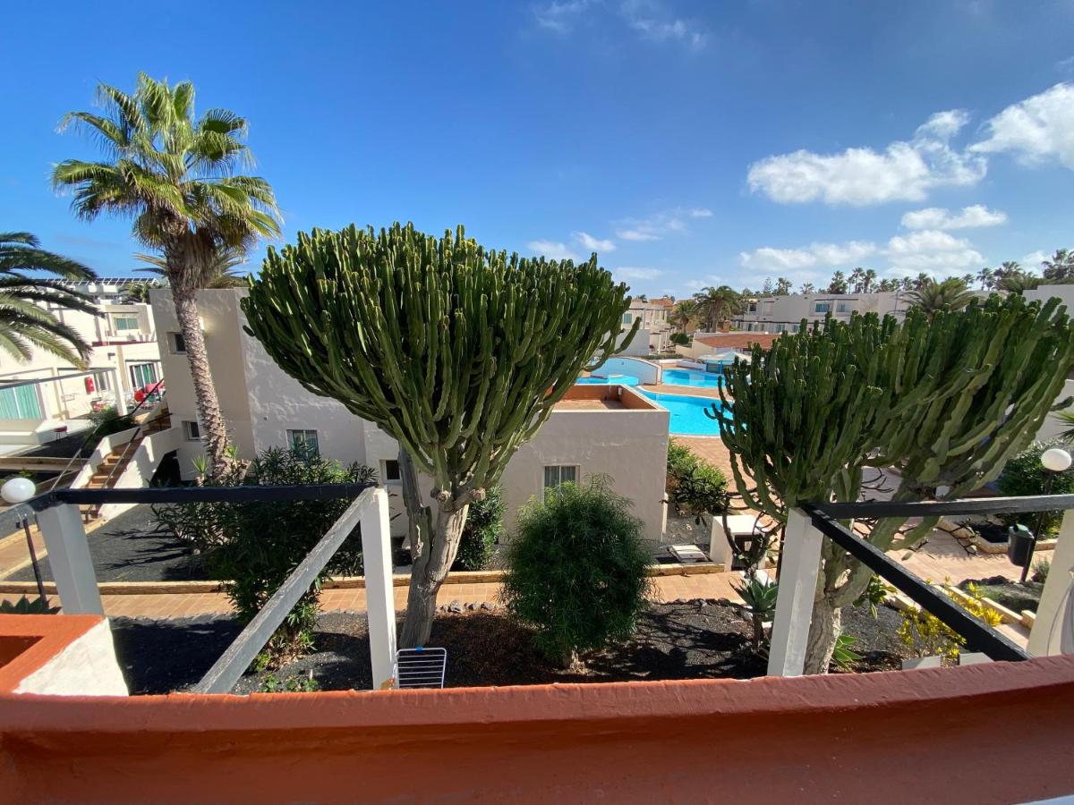 La Marina, Corralejo – Bijgewerkte prijzen 2022