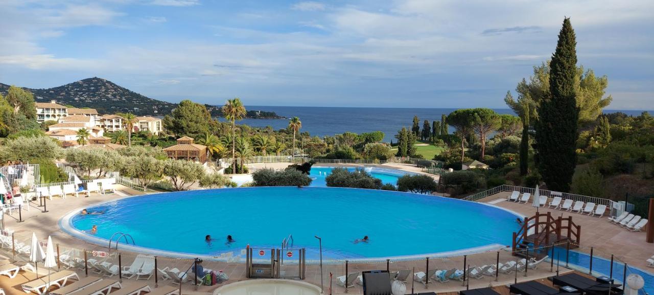 Heated swimming pool: Vue exceptionnelle sur la mer et le Cap Estérel