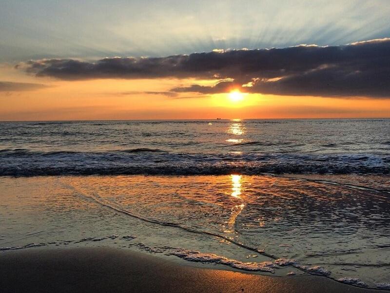 Eco Hotel Plantage Rococo - 4