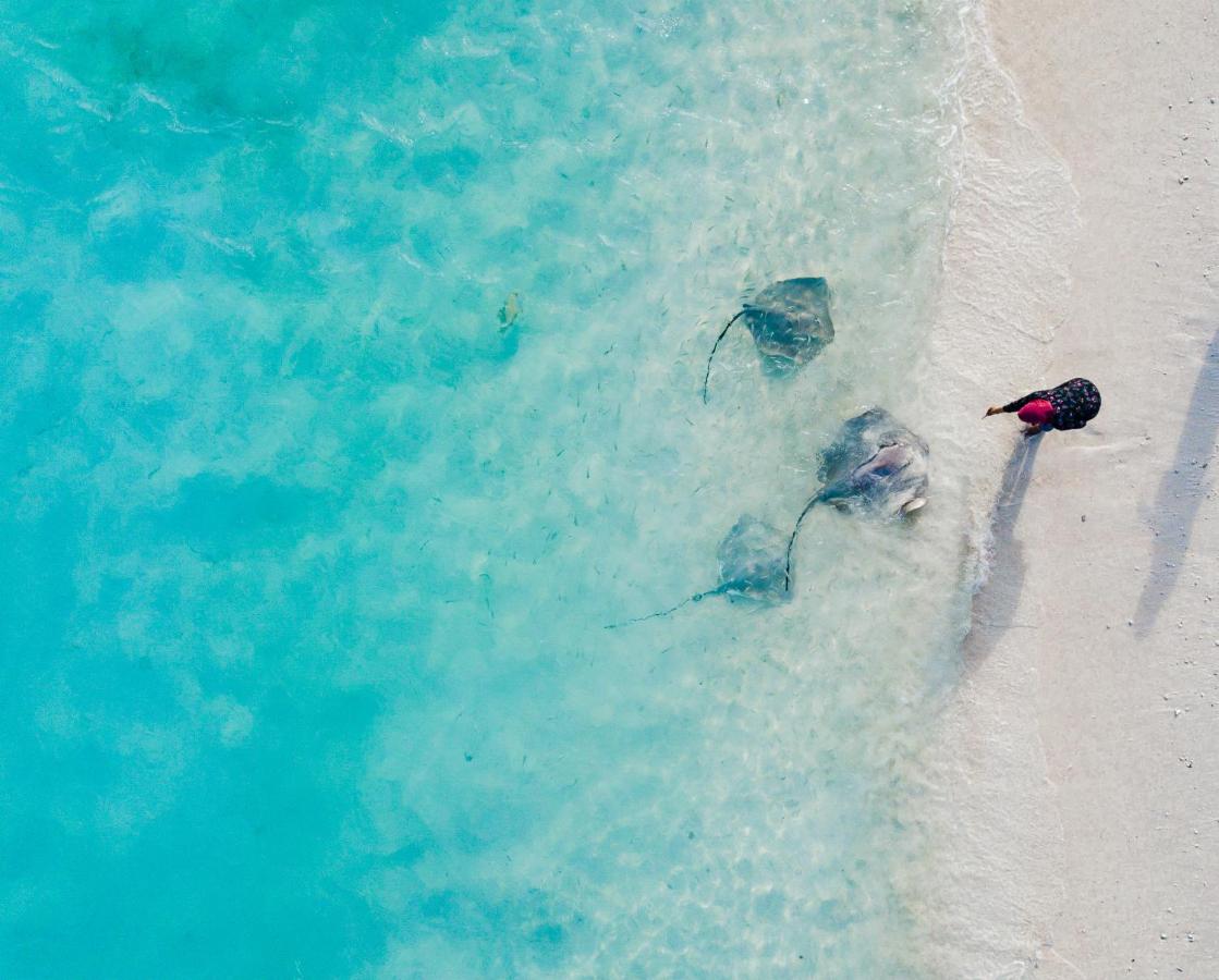 Beach: Fulidhoo White Inn