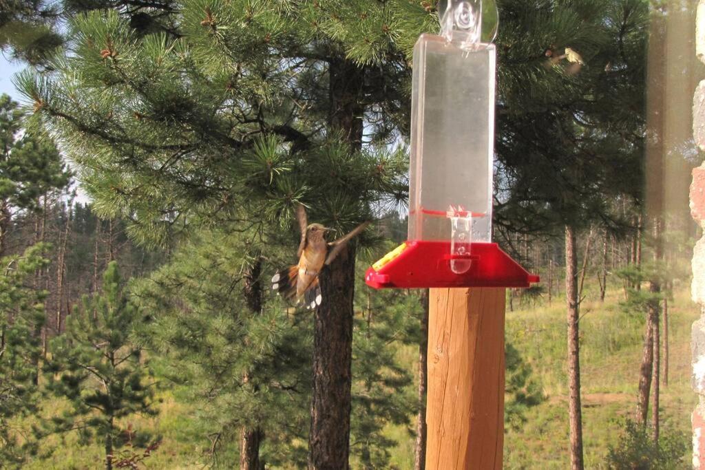 Dominic's Bear Den Vacation Cabin Pikes Peak Colorado — photo 13