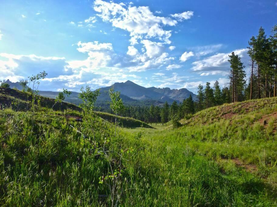 Dominic's Bear Den Vacation Cabin Pikes Peak Colorado — photo 23