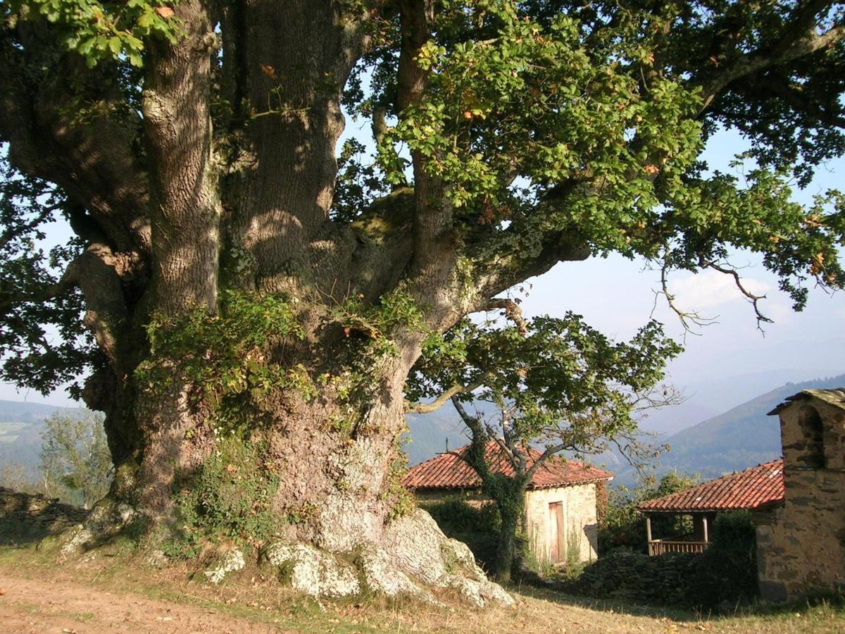 Apartamentos La Panerona Centro, Tineo, Spain - Booking.com