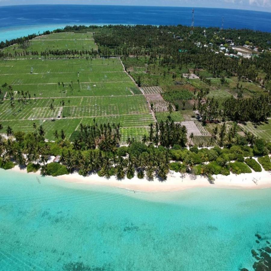 Thoddoo Haisha inn, Maldives - 5