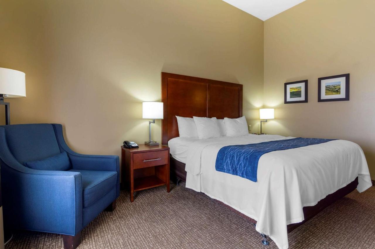 Forman Inn & Suites — photo 13