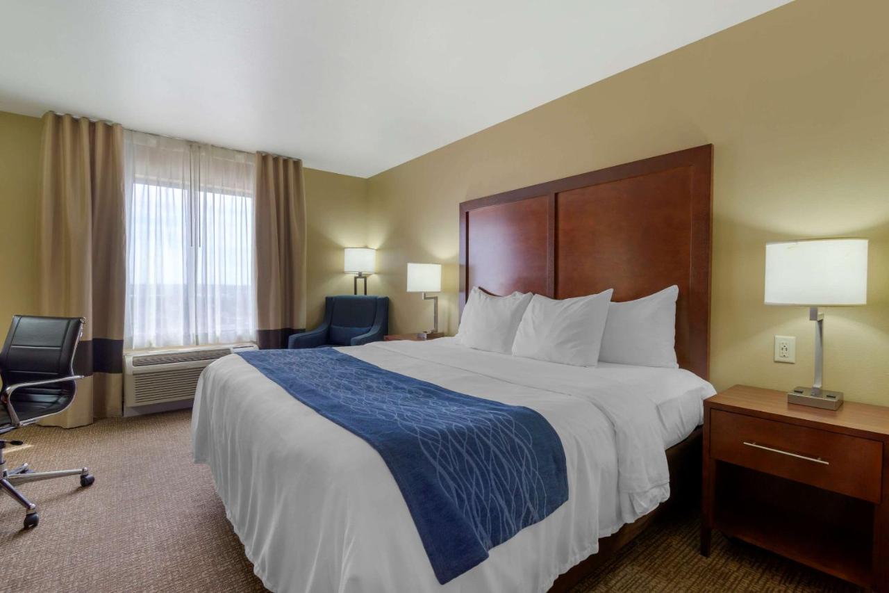 Forman Inn & Suites — photo 15