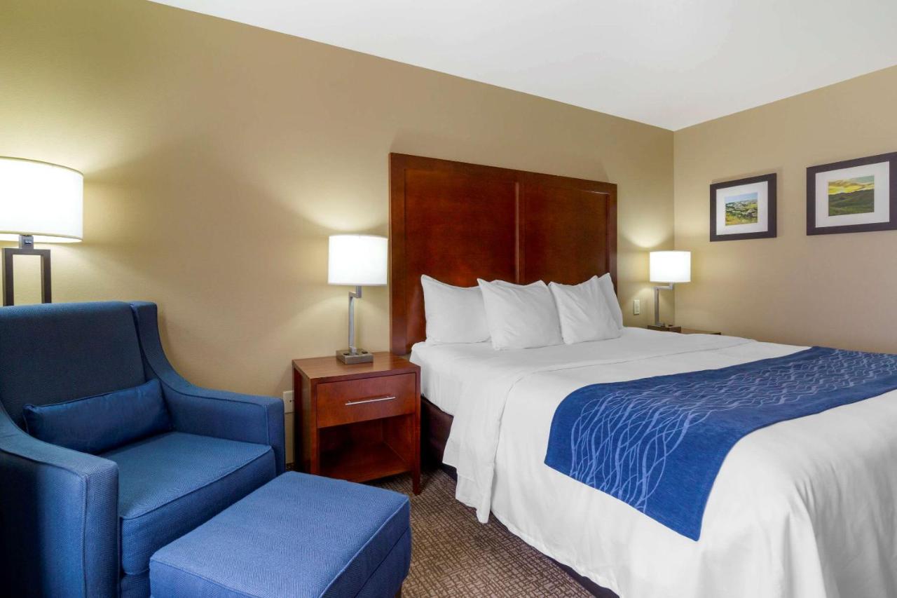 Forman Inn & Suites — photo 17