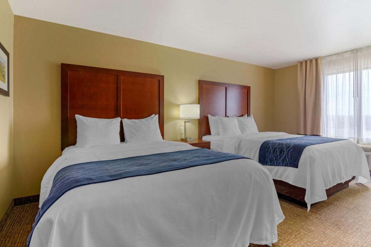 Forman Inn & Suites — photo 18