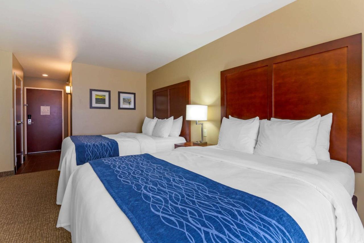 Forman Inn & Suites — photo 20