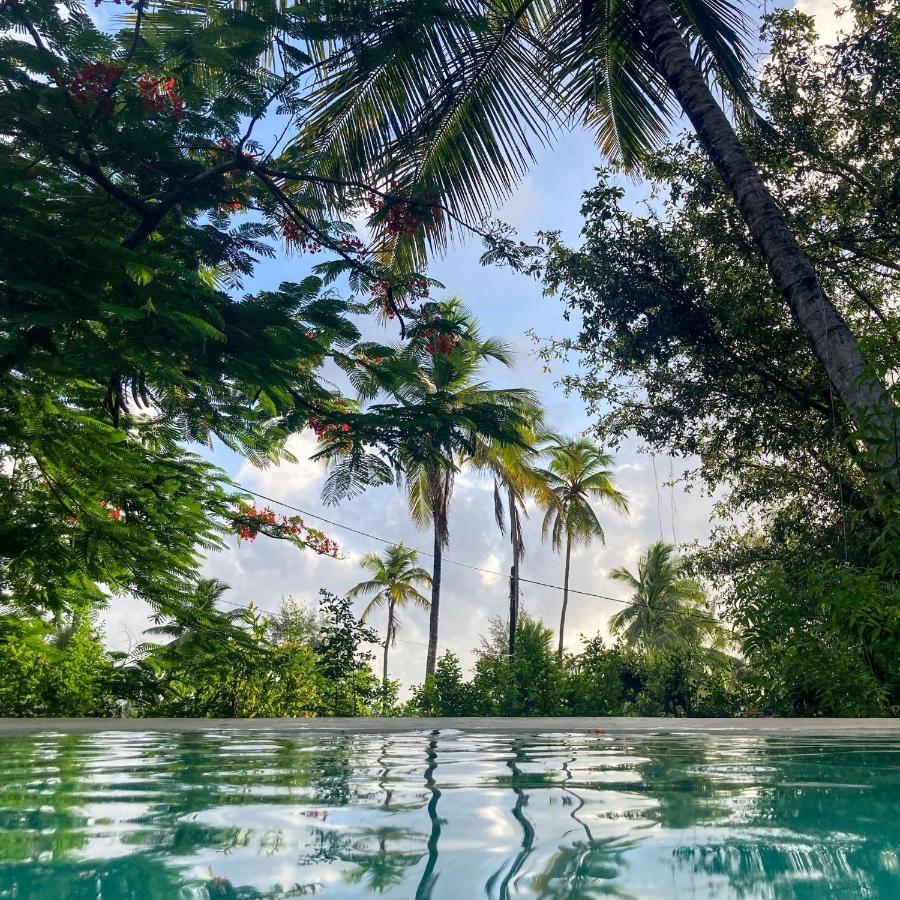 Image: Bellevue Zanzibar