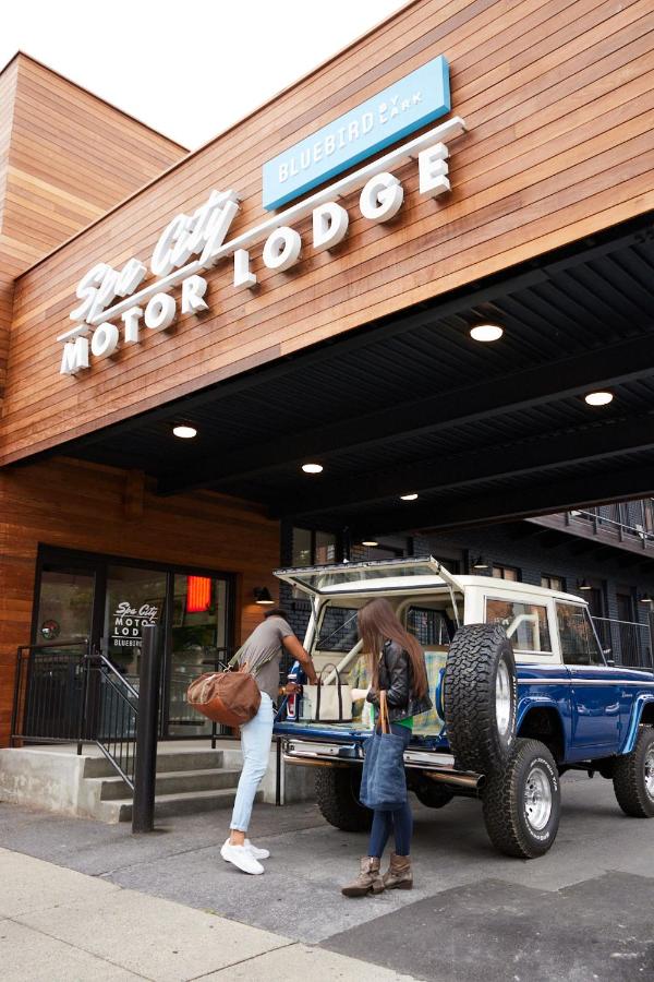 Bluebird Spa City Motor Lodge — photo 9