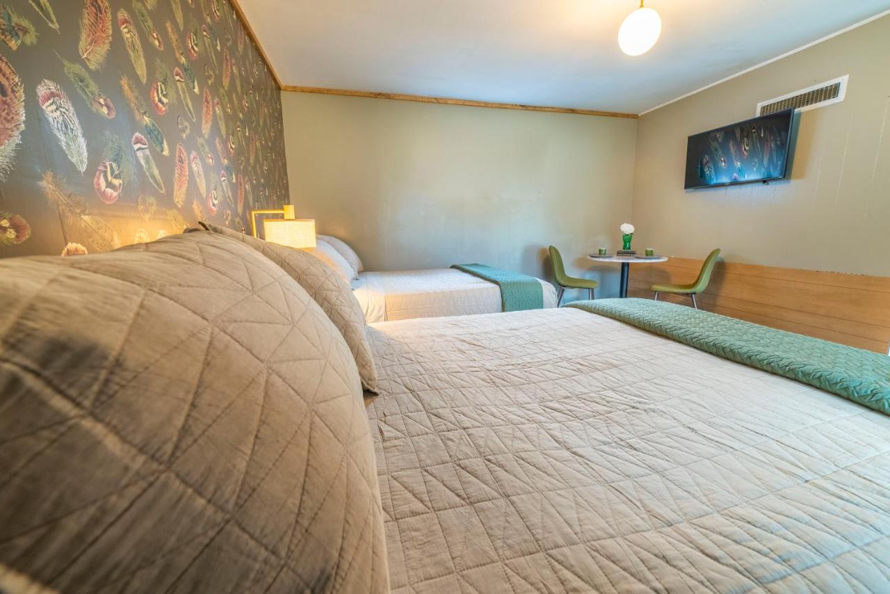 New Ashford Motor Inn — photo 23
