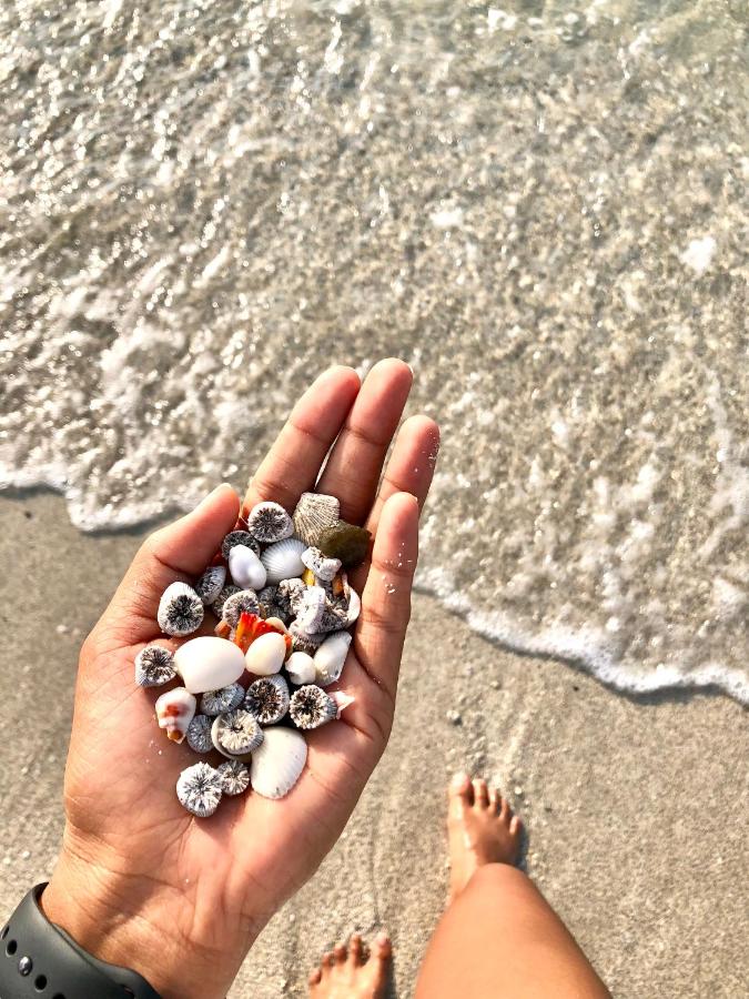 Beach: Hiraeth island home