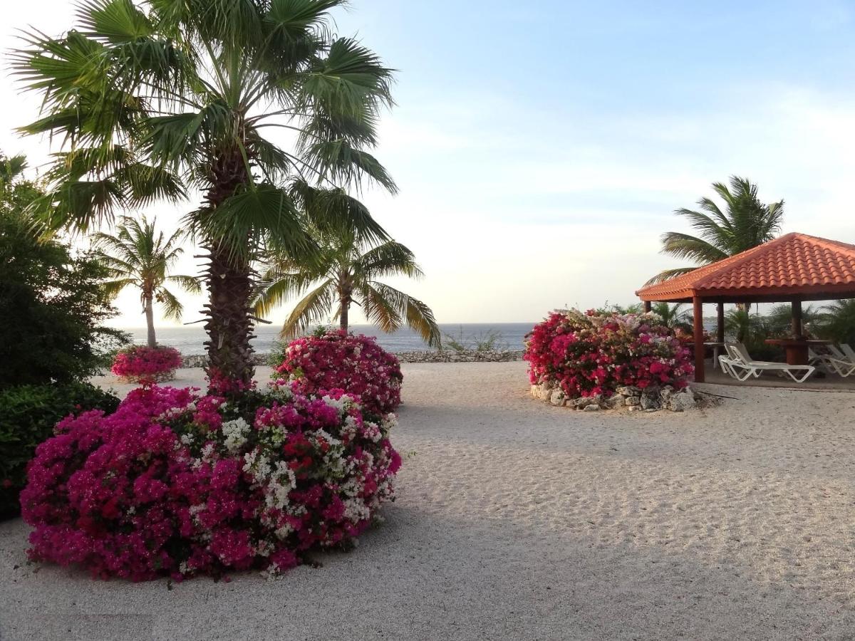 Beach: Studio Marazul
