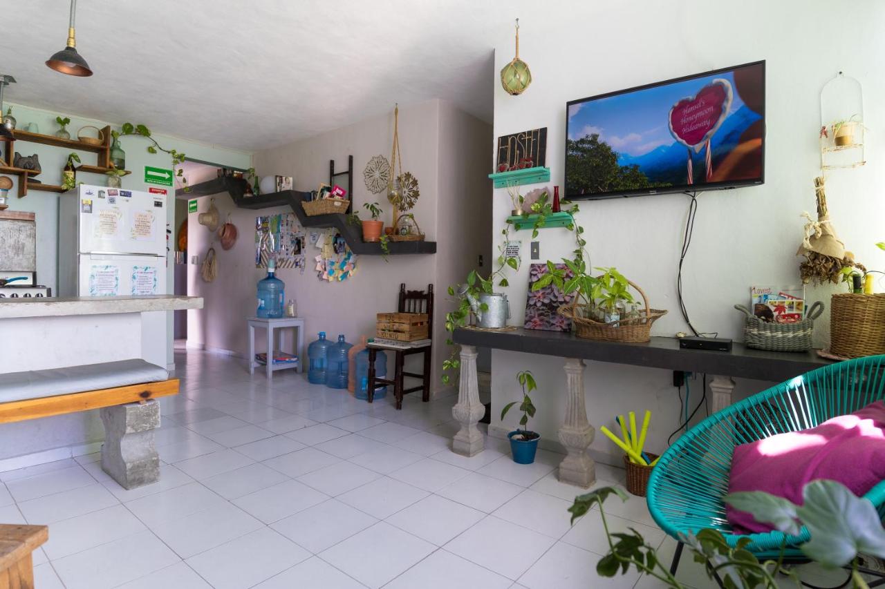 Hostal Cuca Macuca photo