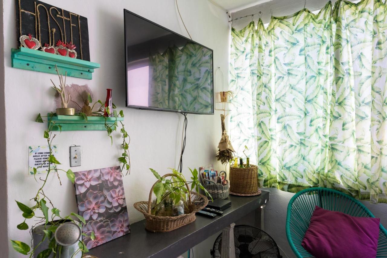 Hostal Cuca Macuca photo