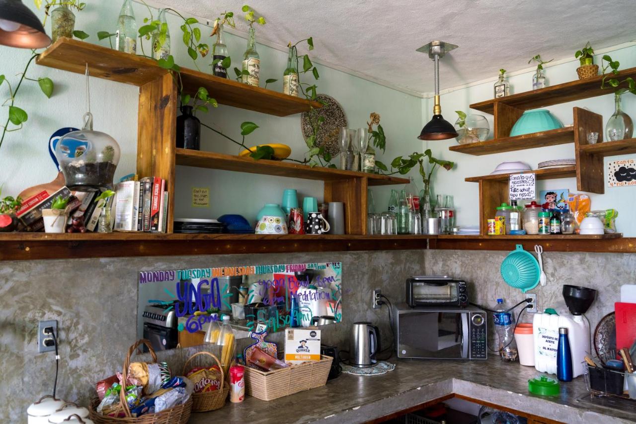 Hostal Cuca Macuca photo