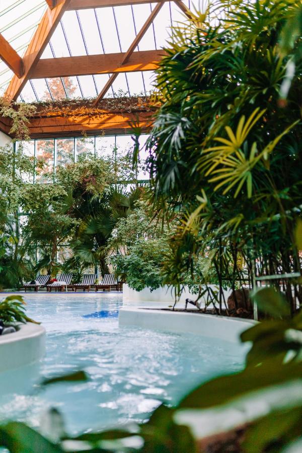 Spa hotel: Rahat Palace Hotel