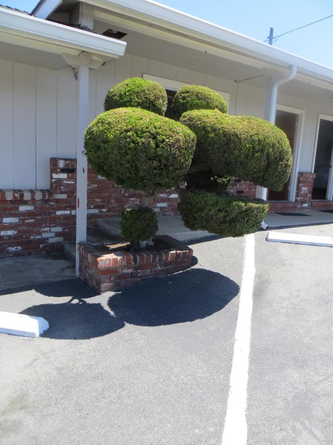 Old Marina Inn — photo 15