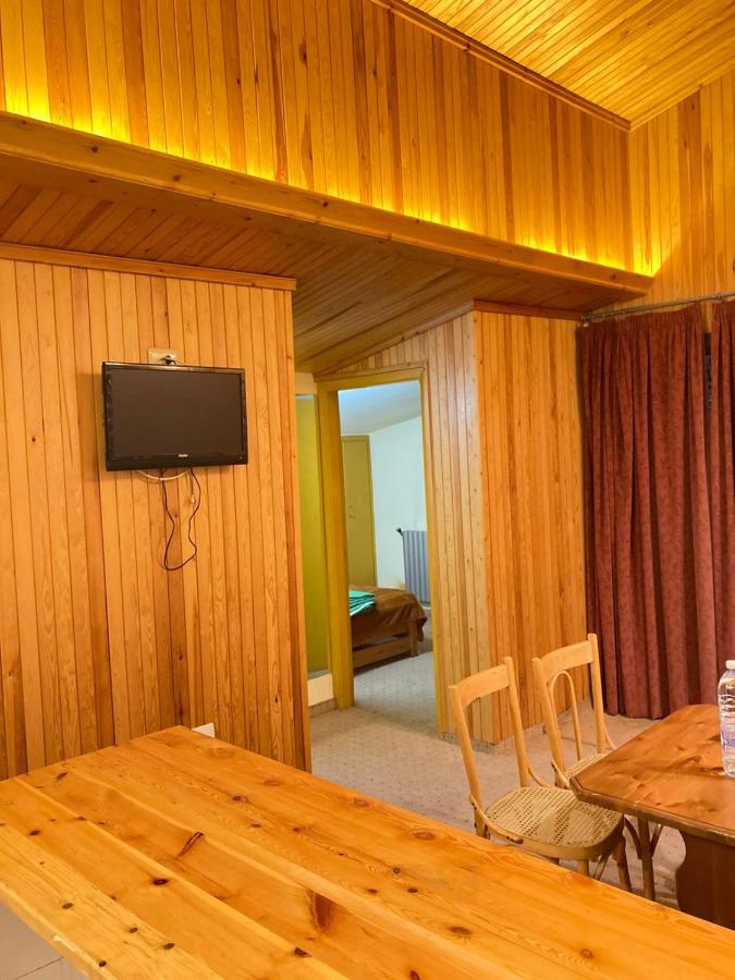 Tamerland-faraya photo