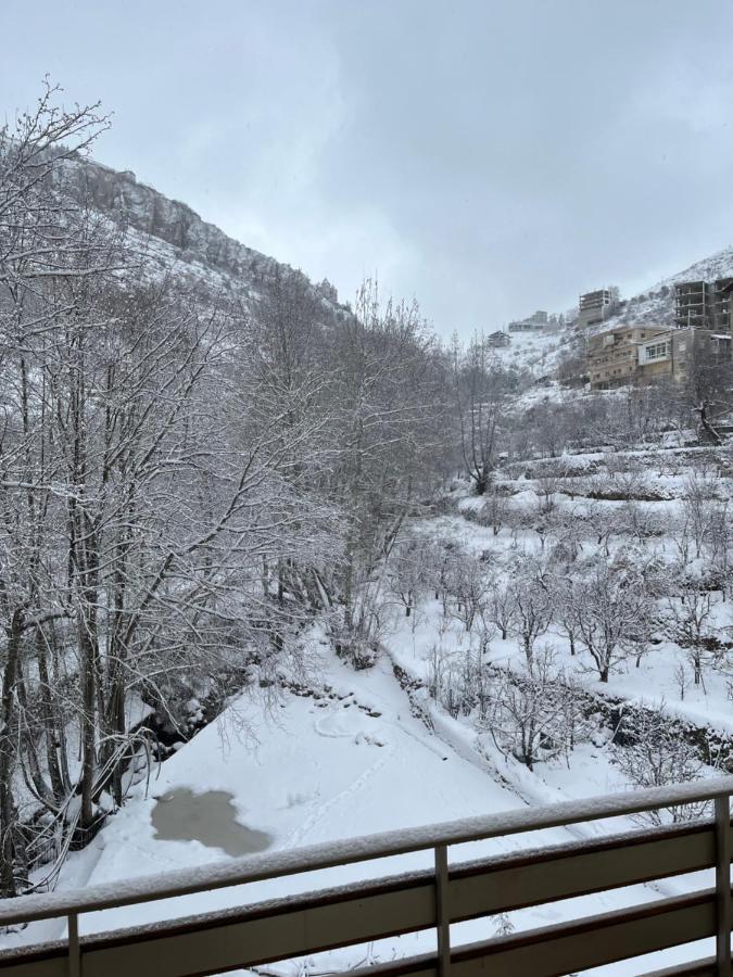Tamerland-faraya photo