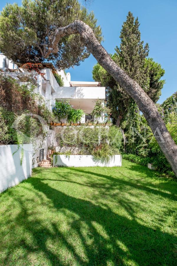 Guadalpin Banus - Corralito, Marbella – Precios actualizados 2022