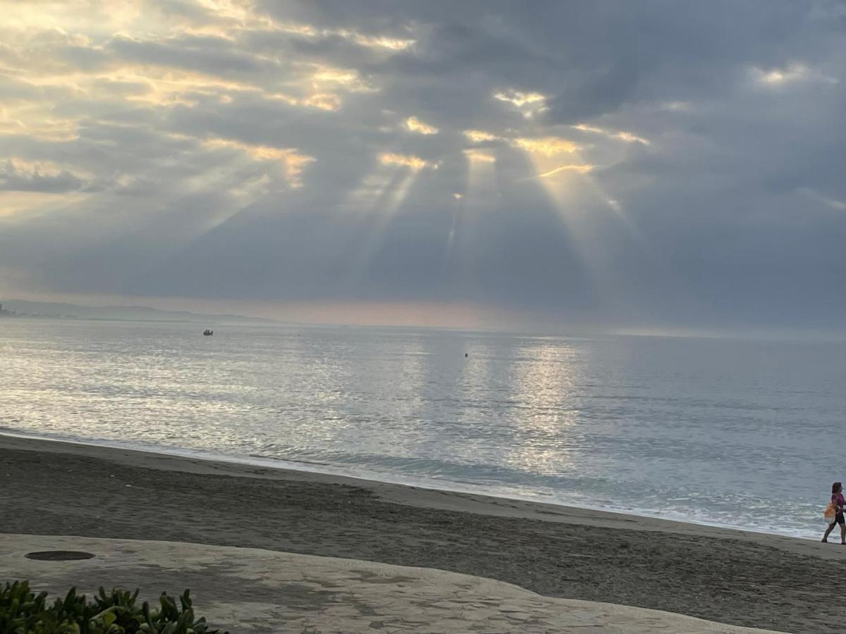 Beach: El Lobo de Mar Estepona