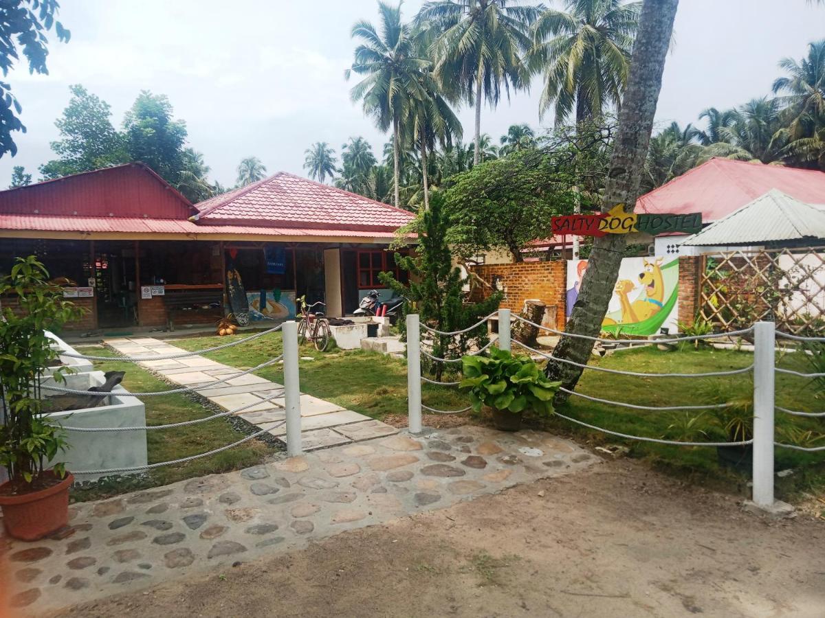 Salty Dog Hostel