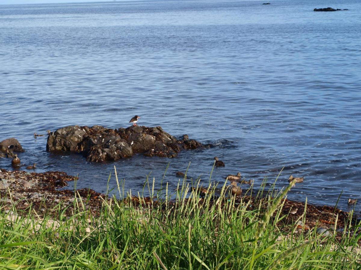 Beach: Guesthouse Hof