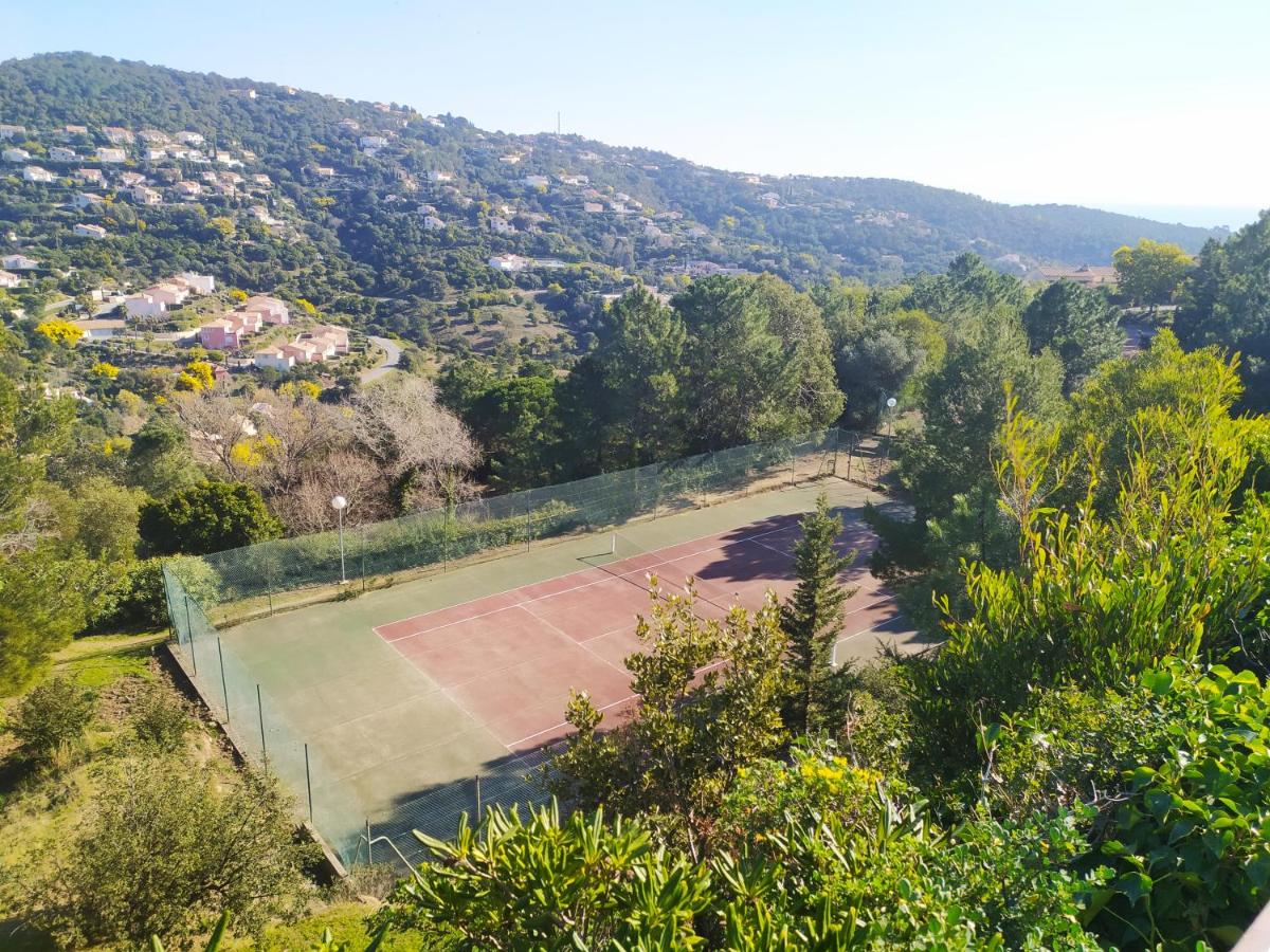 Tennis court: Vacance location mer piscine var sud terrasse