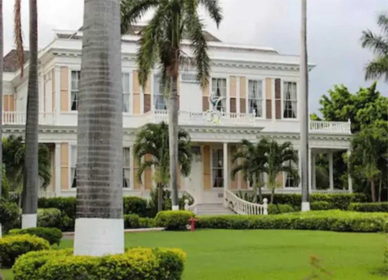 Comfy, Central & Elegant Studio New Kingston - 3