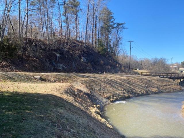Andy Griffith Parkway Inn — photo 24